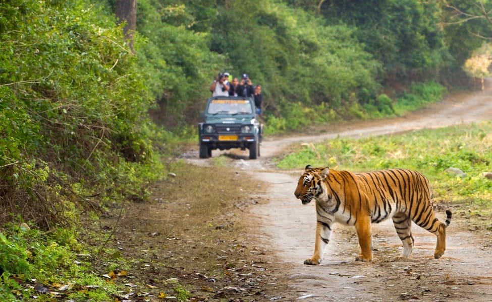 Weekend Getaway Corbett