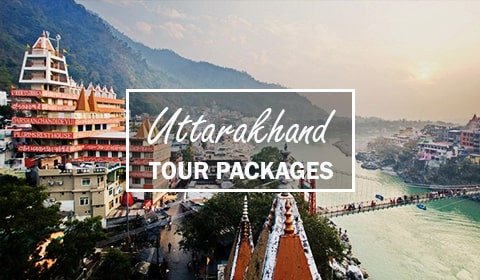 Tour Packages from Delhi