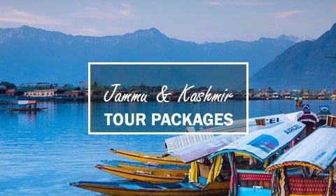 Tour Packages from Delhi