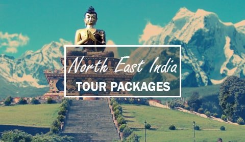 Tour Packages from Delhi